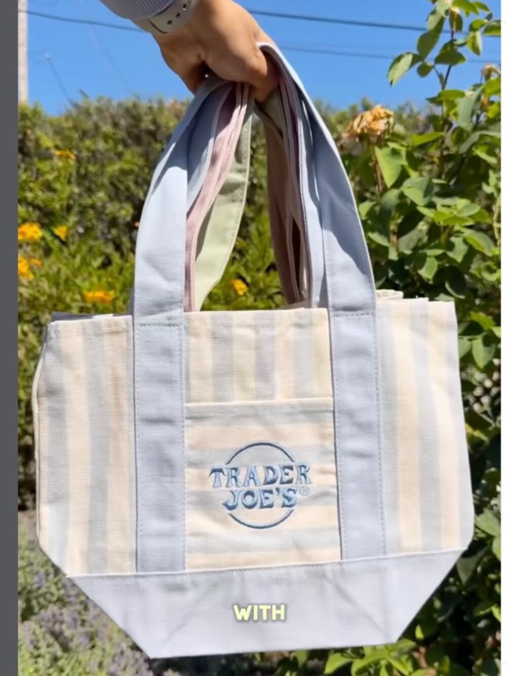 Trader Joe's Blue Striped Canvas Tote